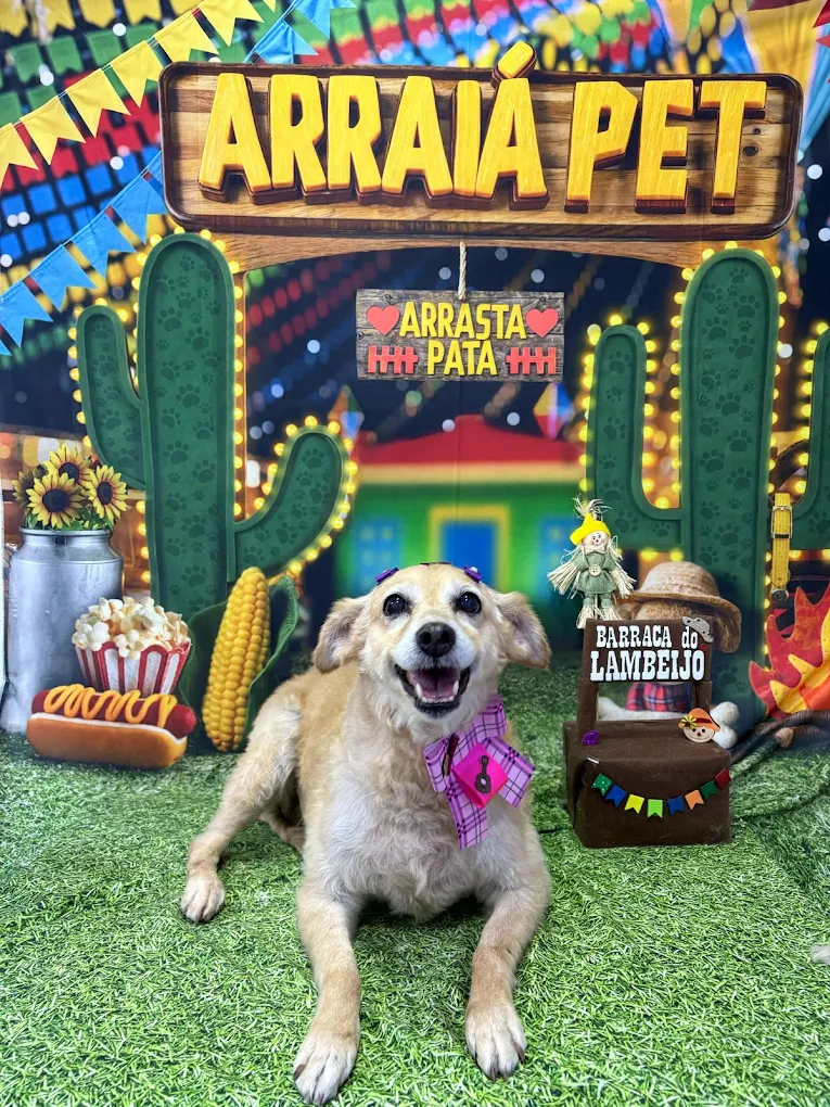 Mascote Urbano — São José do Rio Preto