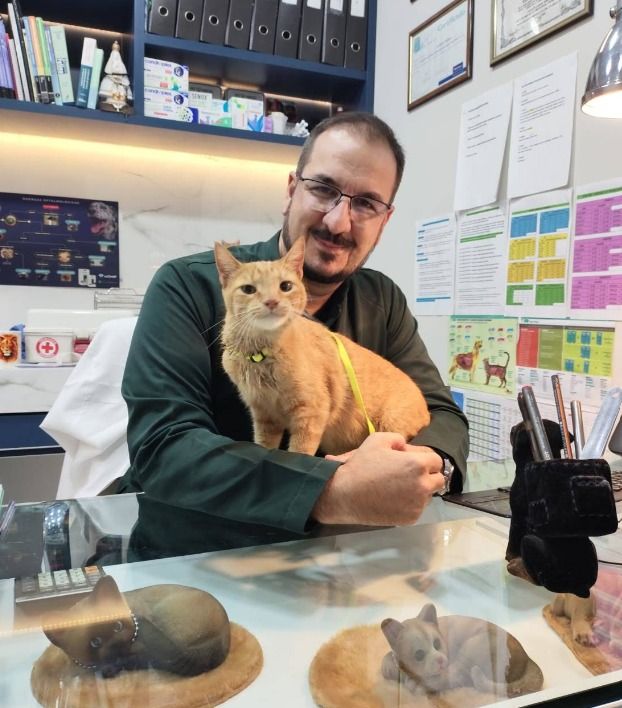 Estrutura da Mascote Urbano em São José do Rio Preto